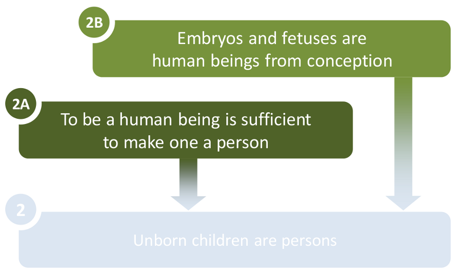 Premise 2: Embryos and fetuses are human beings from conception AND To be a human being is sufficient to make one a person IMPLIES Unborn children are persons. Premise 2: Embryos and fetuses are human beings from conception AND To be a human being is sufficient to make one a person IMPLIES Unborn children are persons.
