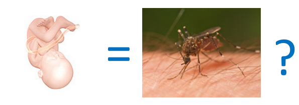 Is a fetus a parasite? Is a fetus a parasite?