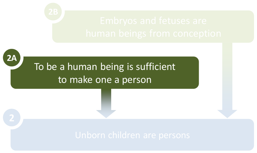 Premise 2a: to be a human organism is sufficient for personhood.