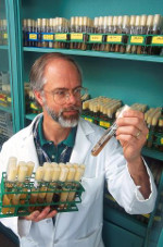 A scientist looking at test tubes