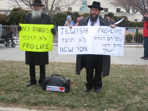Pro-life NY Rabbis